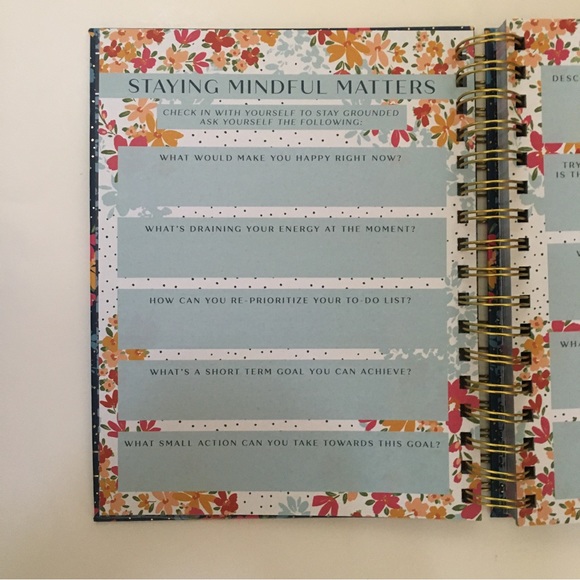 NEW Gratitude Journal with Guided Prompts | Lady Jane - Picture 9 of 14